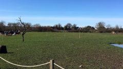 A photo of Herrings Green Activity Farm Wilstead. The photo shows an open field with trees in the background, a small pond to the right and small buildings to the left.